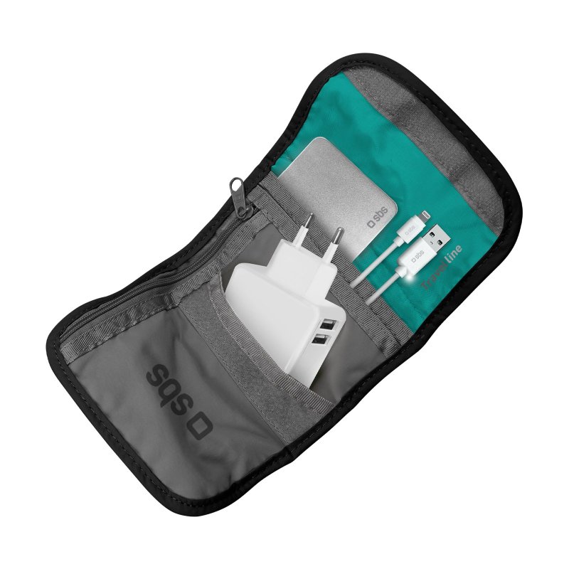 Travel organizer for smartphones