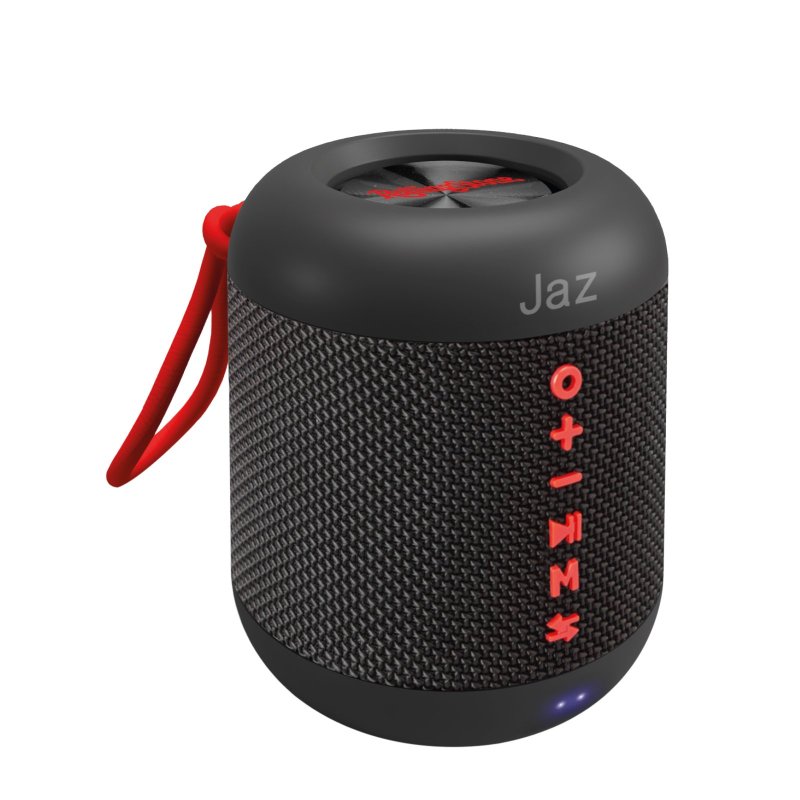 Portable wireless speaker for music