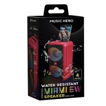 6W speaker with strap